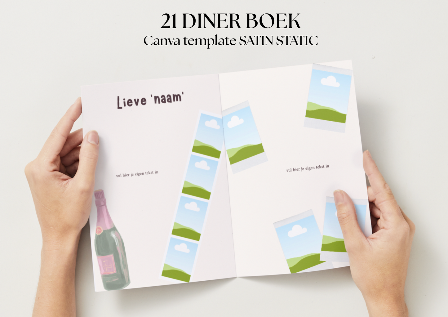 21 Diner Boek Template 'Satin Static'
